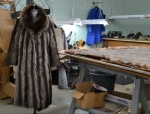 fur atelier, samuel fourrure laval, raccoon fur coat, remodelling a fur coat