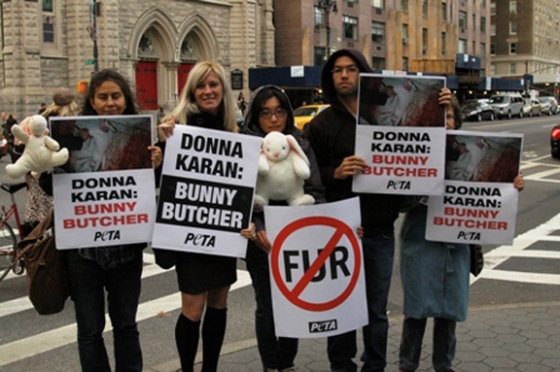 Donna Karan, Protest, Fur, PETA